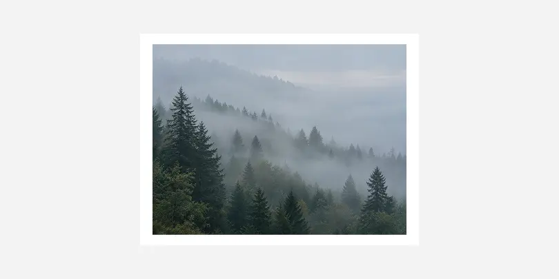 Full-size JPG photo